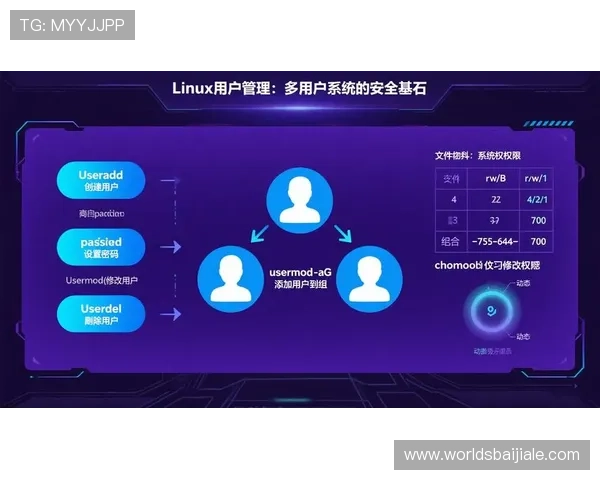 PA平台的在线入口：实现快速登录与高效数据交互的核心通道