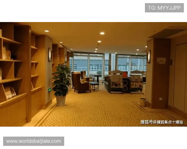 DB真人旗舰集团的运营策略与市场推广方案，助力合作伙伴实现快速增长